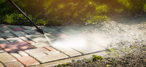 Best Solar Panel Cleaning  in Athens, AL